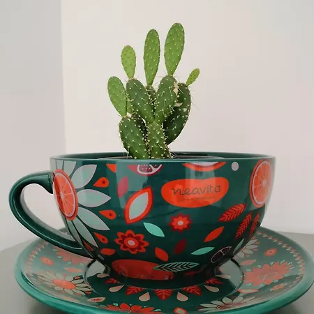 Casa Kale Aci Castello